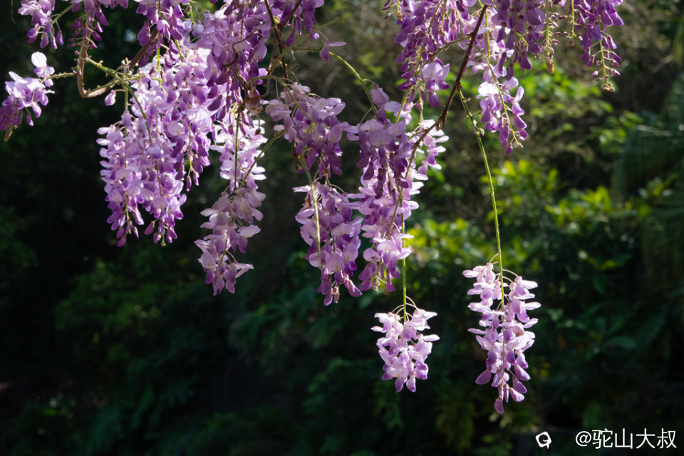 DSC01568-0 - 副本.jpg