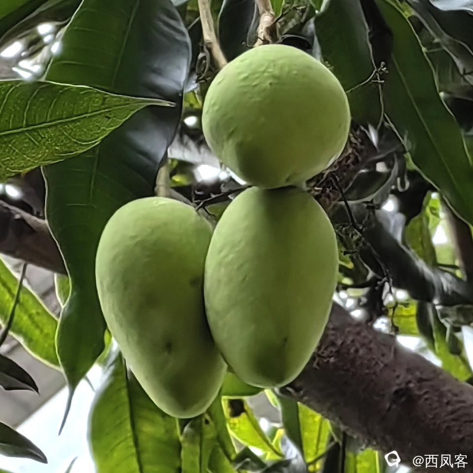 da8a1847-d4e1-8571-7c41-09b09590c0c5.jpg