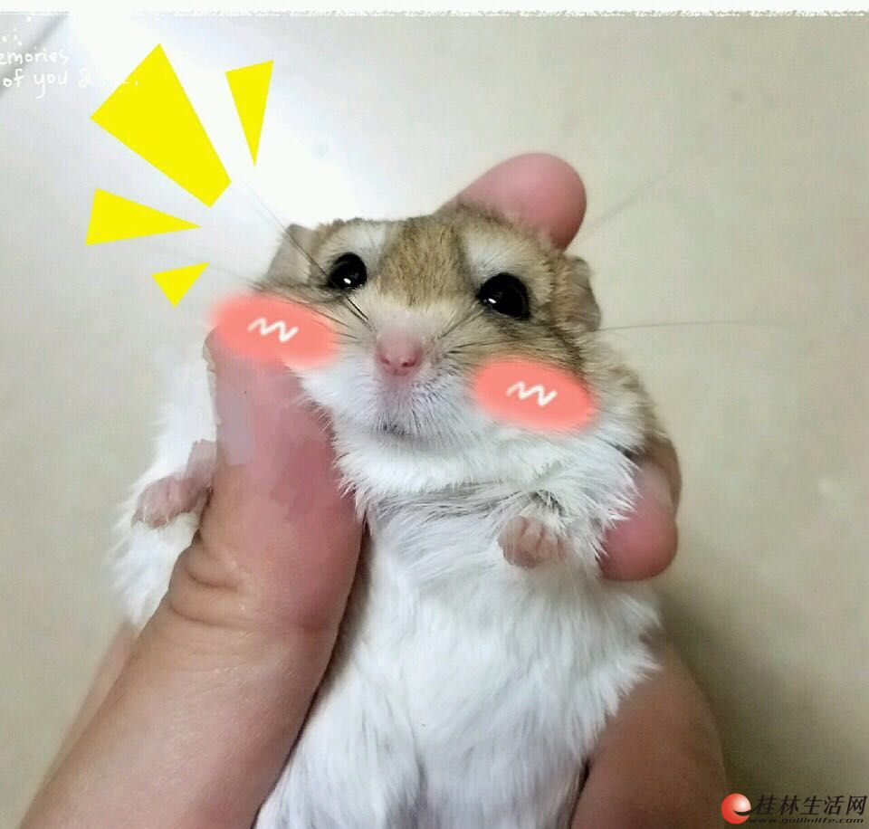 ͨ�ķ����� ������������