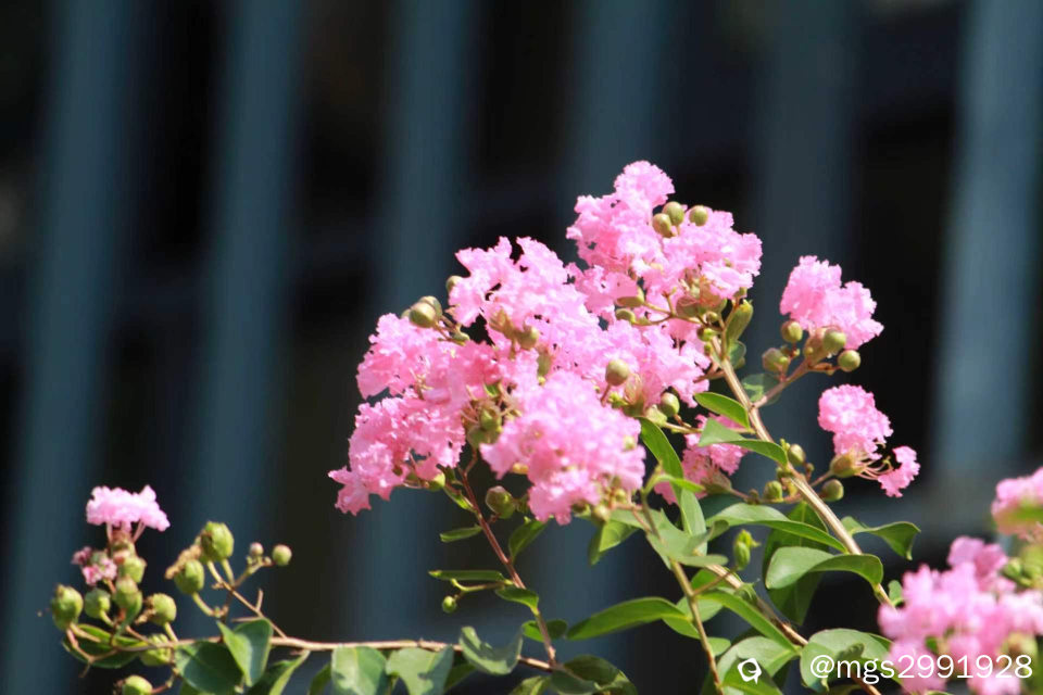 a5398fbf-8ece-d9ca-3d44-27a68db3bcad.jpg