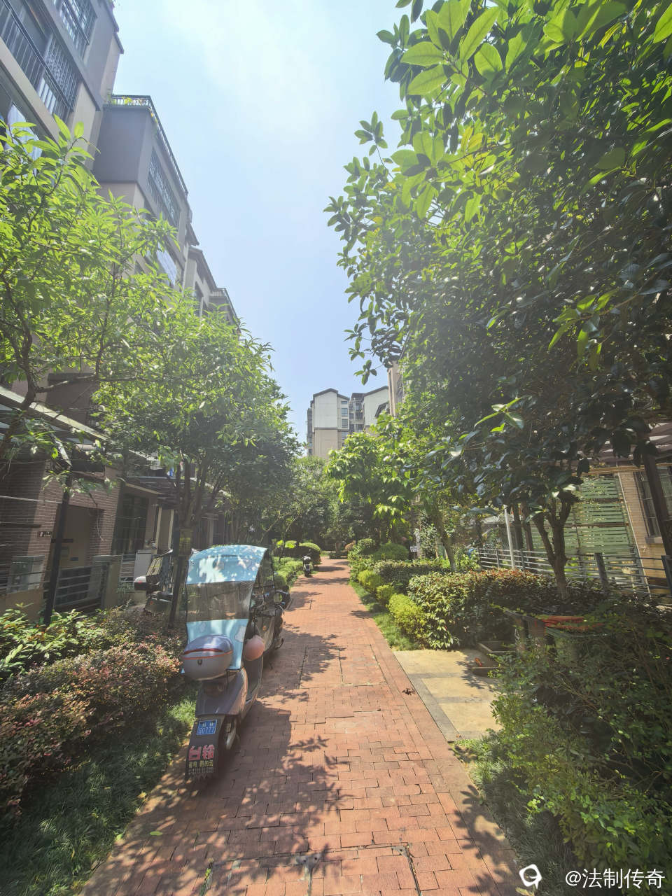 68efdff0-4bfb-6e9f-0aac-c0921e7a7c89.jpg