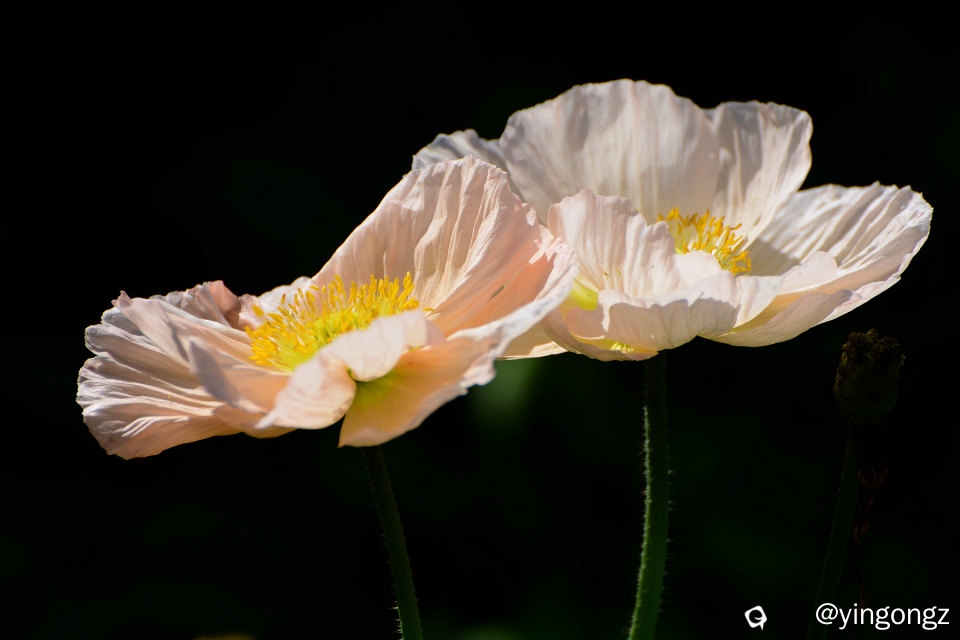 DSC_5436_副本.jpg