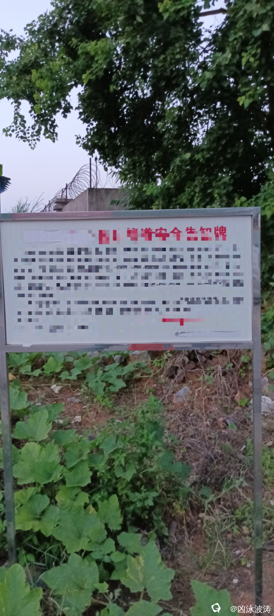 053a910d-960a-b8e8-b990-9749d7e3a7b7.jpg