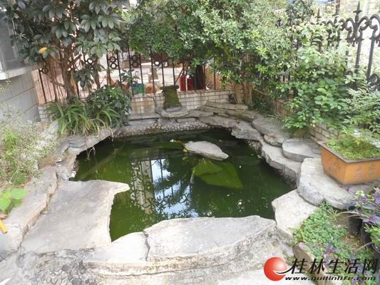���Ǳ��� 5��3��3�� 262�O ���� 198��