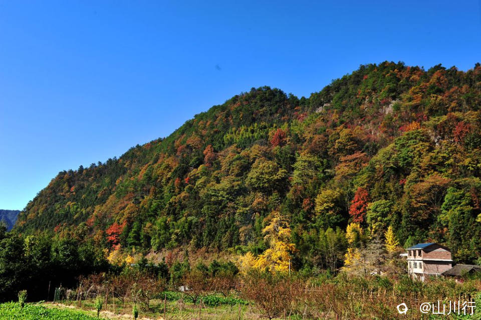 DSC_3821_1.jpg