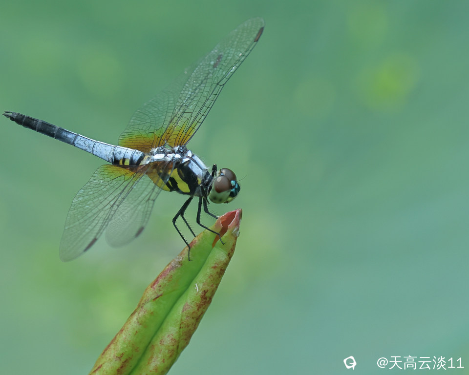 5D2A1409.JPG