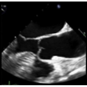 图片 3 - 副本 (2).png