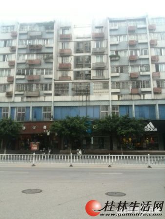 �����š���ó���á�������װ�������� 1900/��