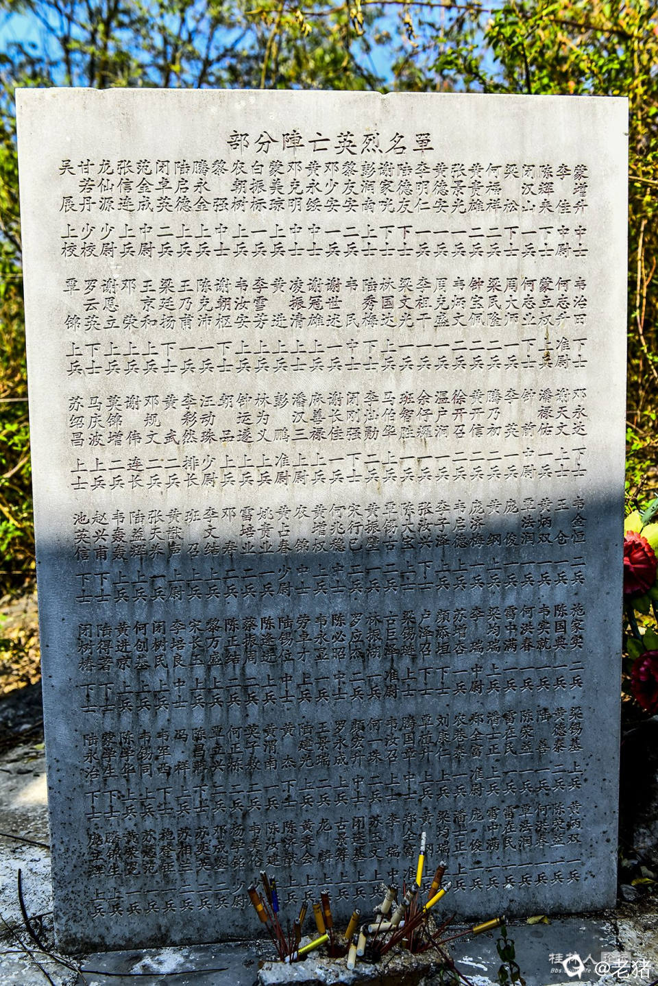 _DSC1528 - 副本.JPG