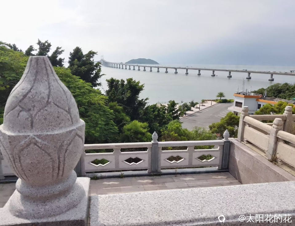 Image_1728107381916.jpg