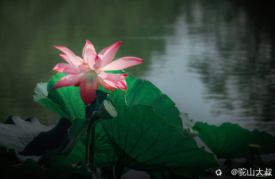 DSC08670-0_副本.jpg