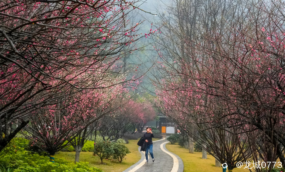 DSC07350.JPG