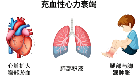图片 3.png