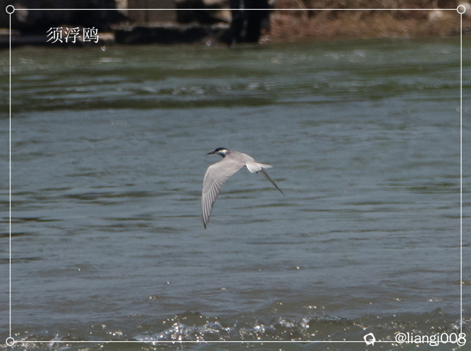 DSC03372_副本.jpg