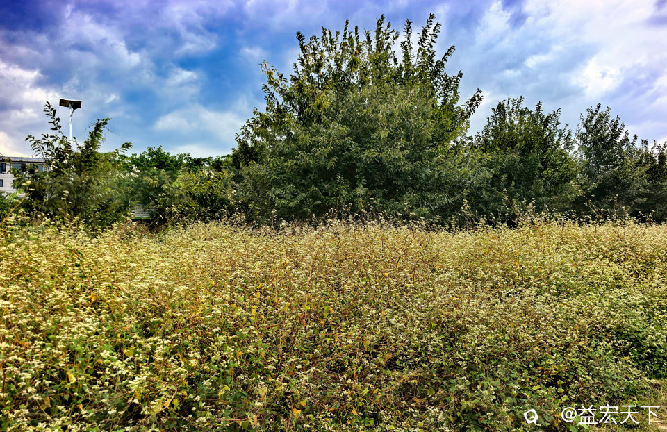 IMG_20261017_141713.jpg