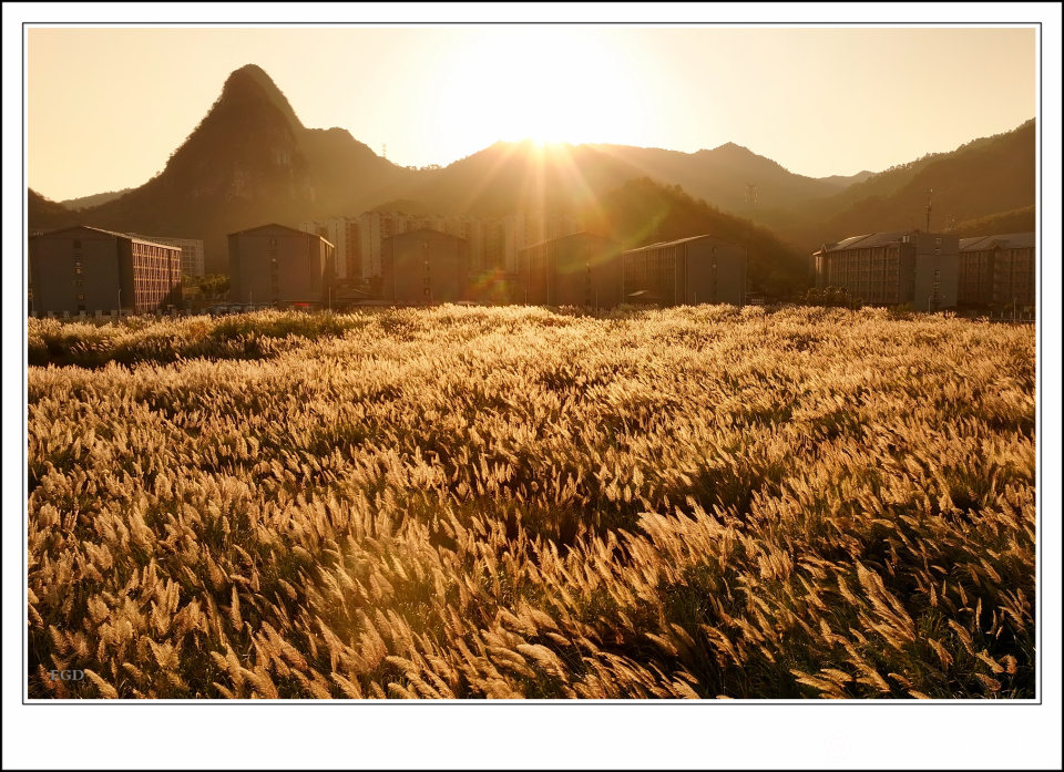 日出日落 (1).jpg