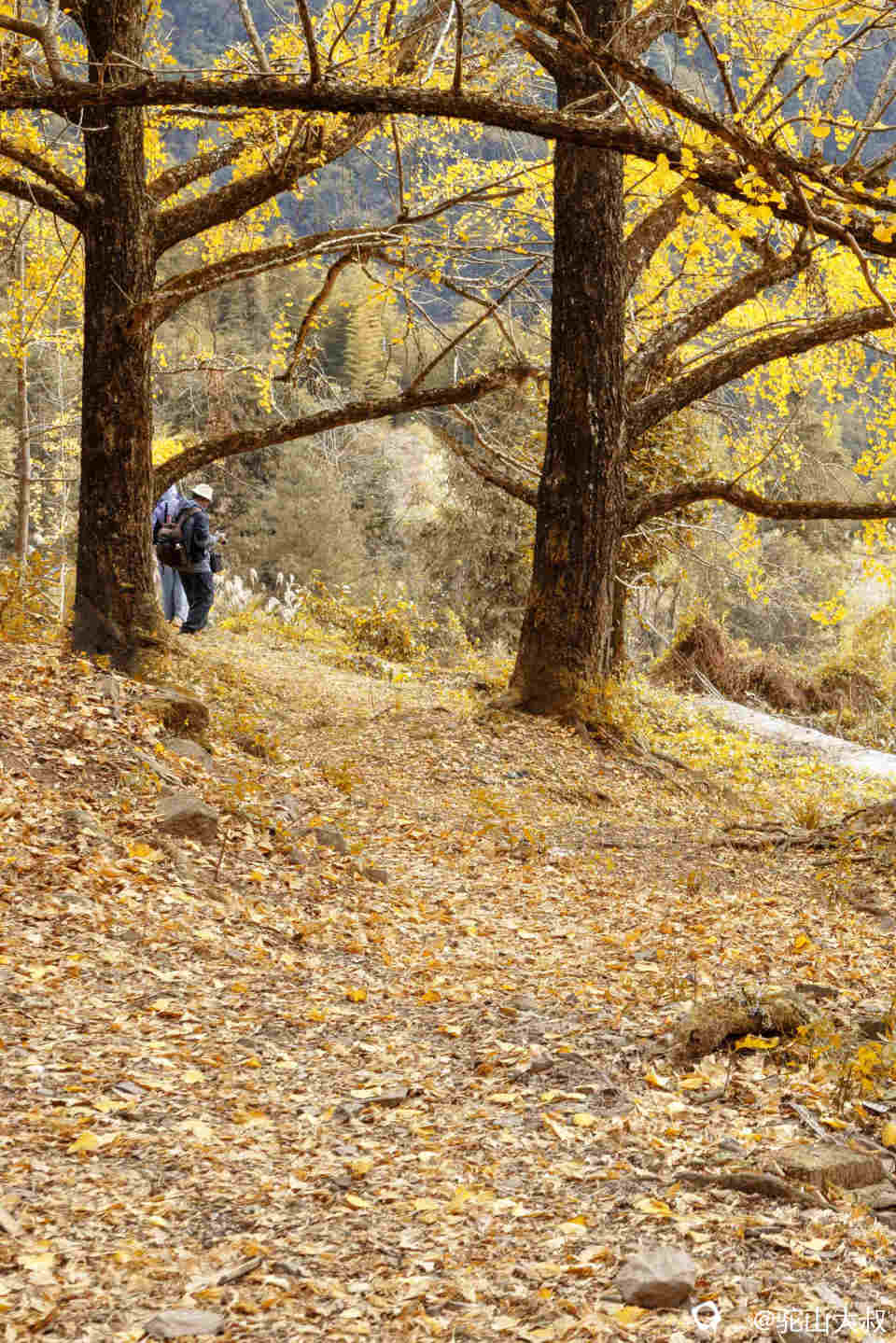 DSC04388-1 - 副本.jpg