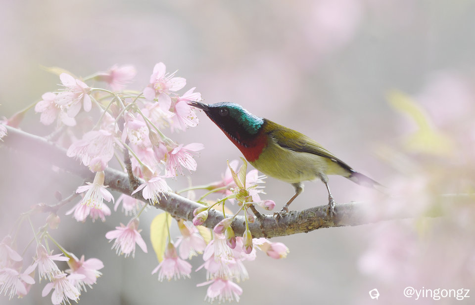 DSC_3024_副本.jpg