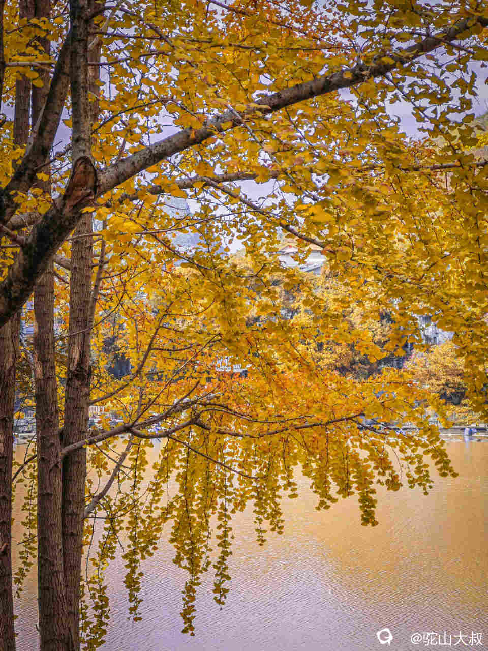 IMG_133218 - 副本.jpg