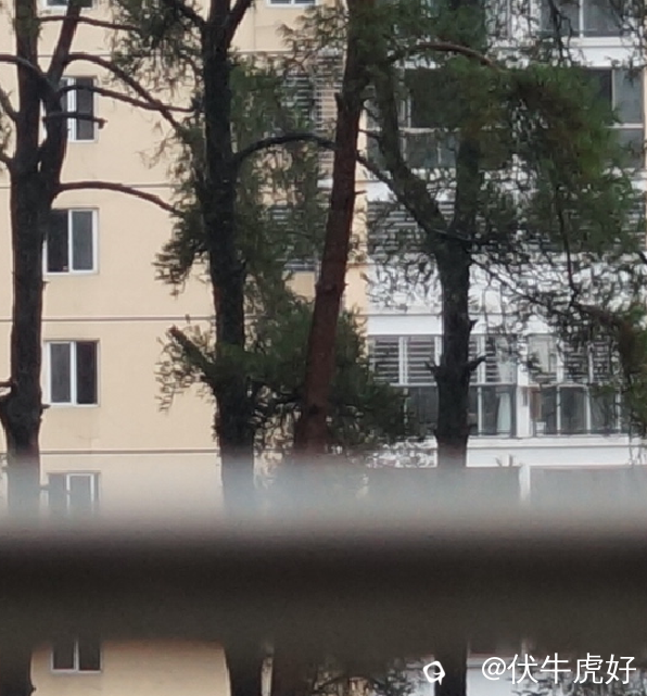 TIM截图20170812103956.png