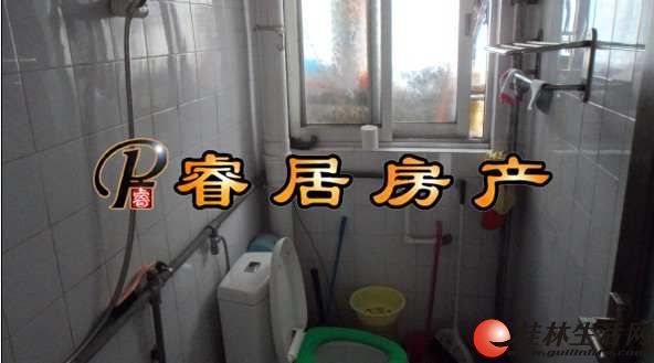 T  �ֶ�����Ȧ �ʵ�С�� ���������Ľ� Ͷ���仧��ѡ�� ��װ 2��2�� 48��