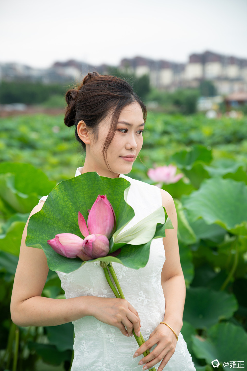 可留言预约拍摄
