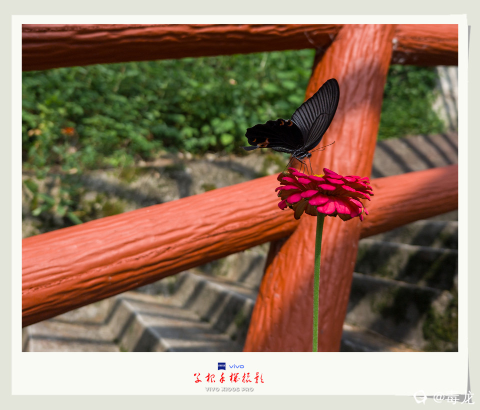 IMG_20240810_091421 拷贝_副本.jpg