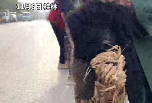 桂林老爷爷自制“小狗提包”赶集，网友：第一眼还以为是偷袈裟的黑熊精！