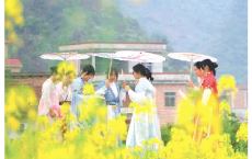 平乐张家镇：3000余亩油菜花催热&ldquo;赏花经济&rdquo;