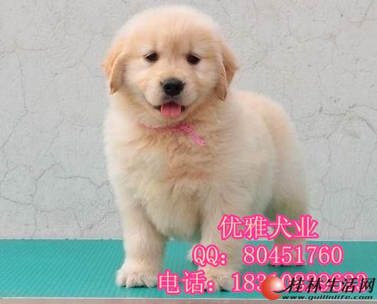 	 ���������ϵ��ë��Ȯ ���ֽ�ë�۸� ��ëͼƬ