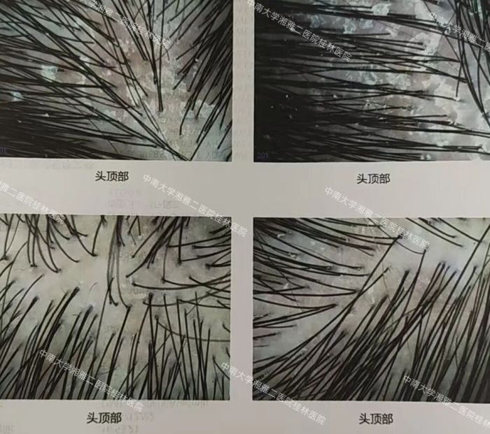 微信图片_20260724103945_12952_9.jpg