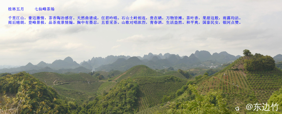 44_副本_副本.jpg