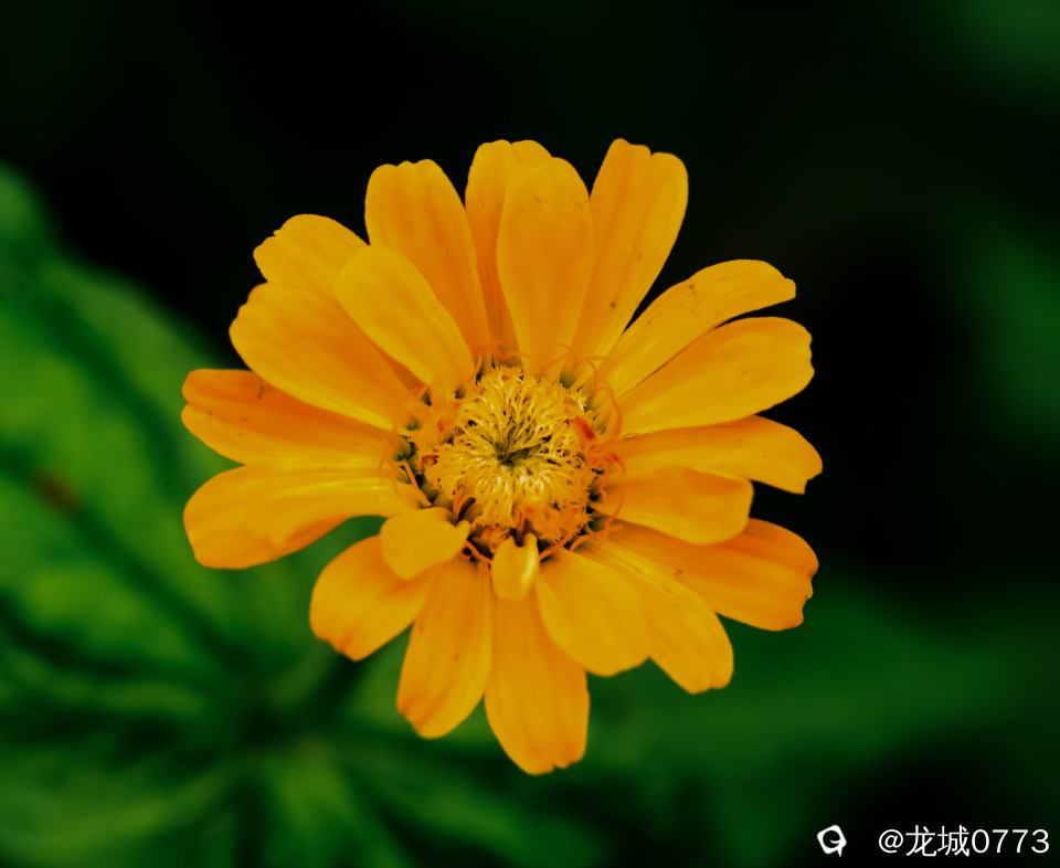 1X4A5852.jpg