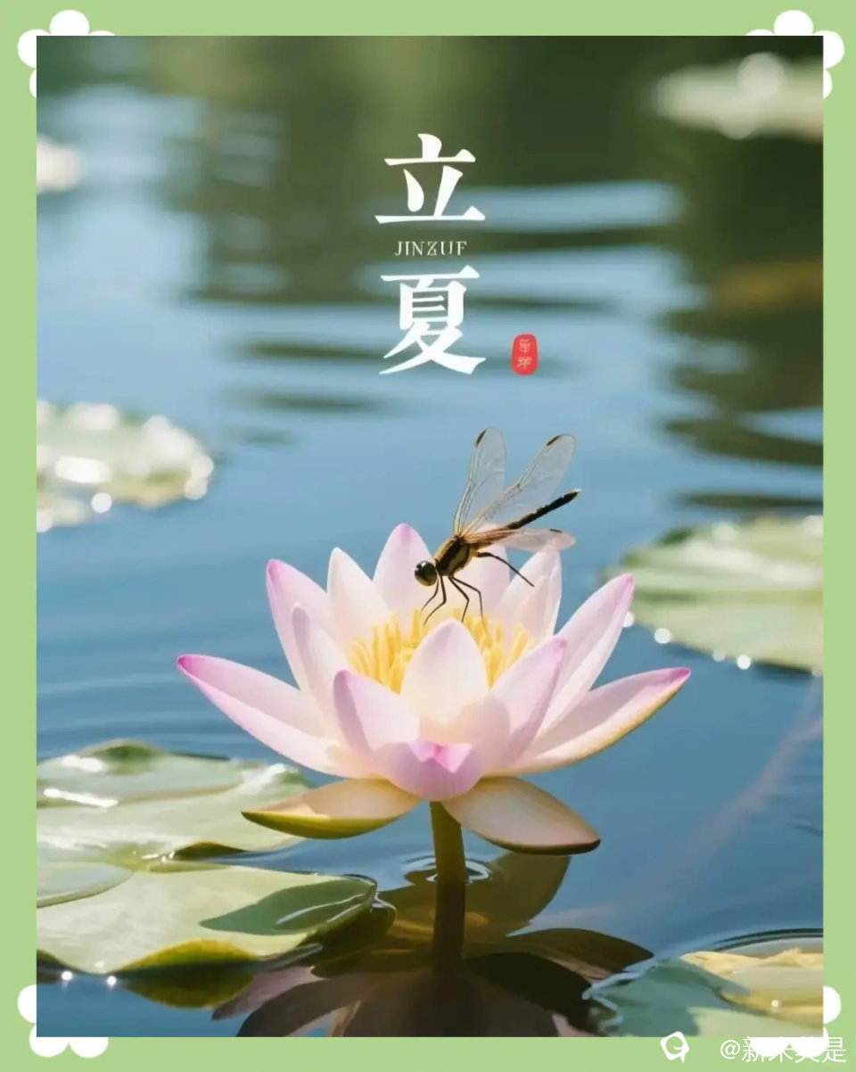 125eed2957484e97b20cda9fd466252c_看图王.jpg