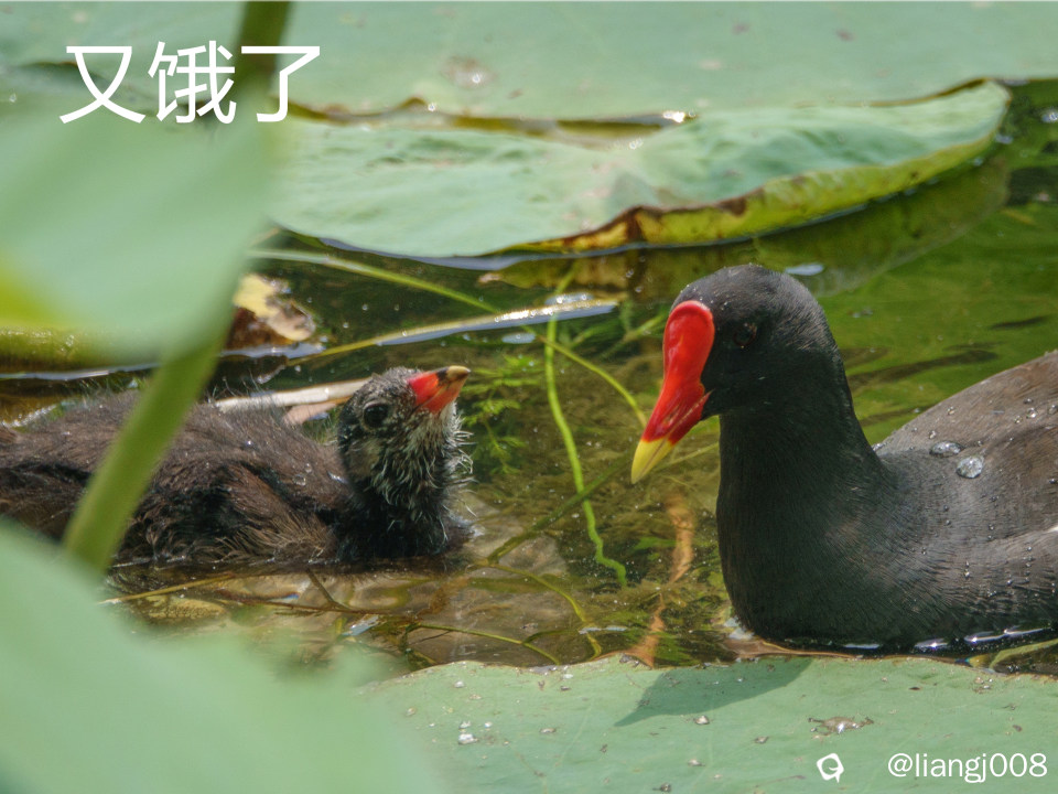 DSC06270_副本_副本.jpg