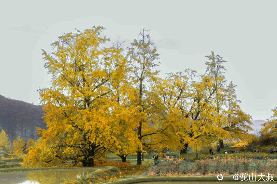 DSC04209-0 - 副本.jpg