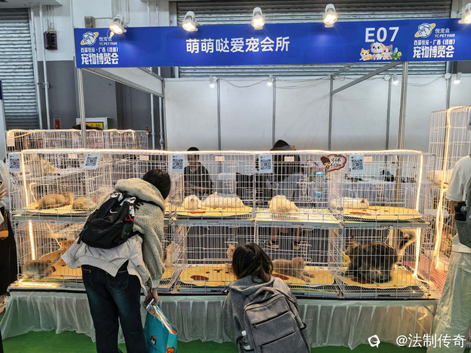 cbe766cf-c8ab-a0e0-c0eb-af986ba831a1.jpg