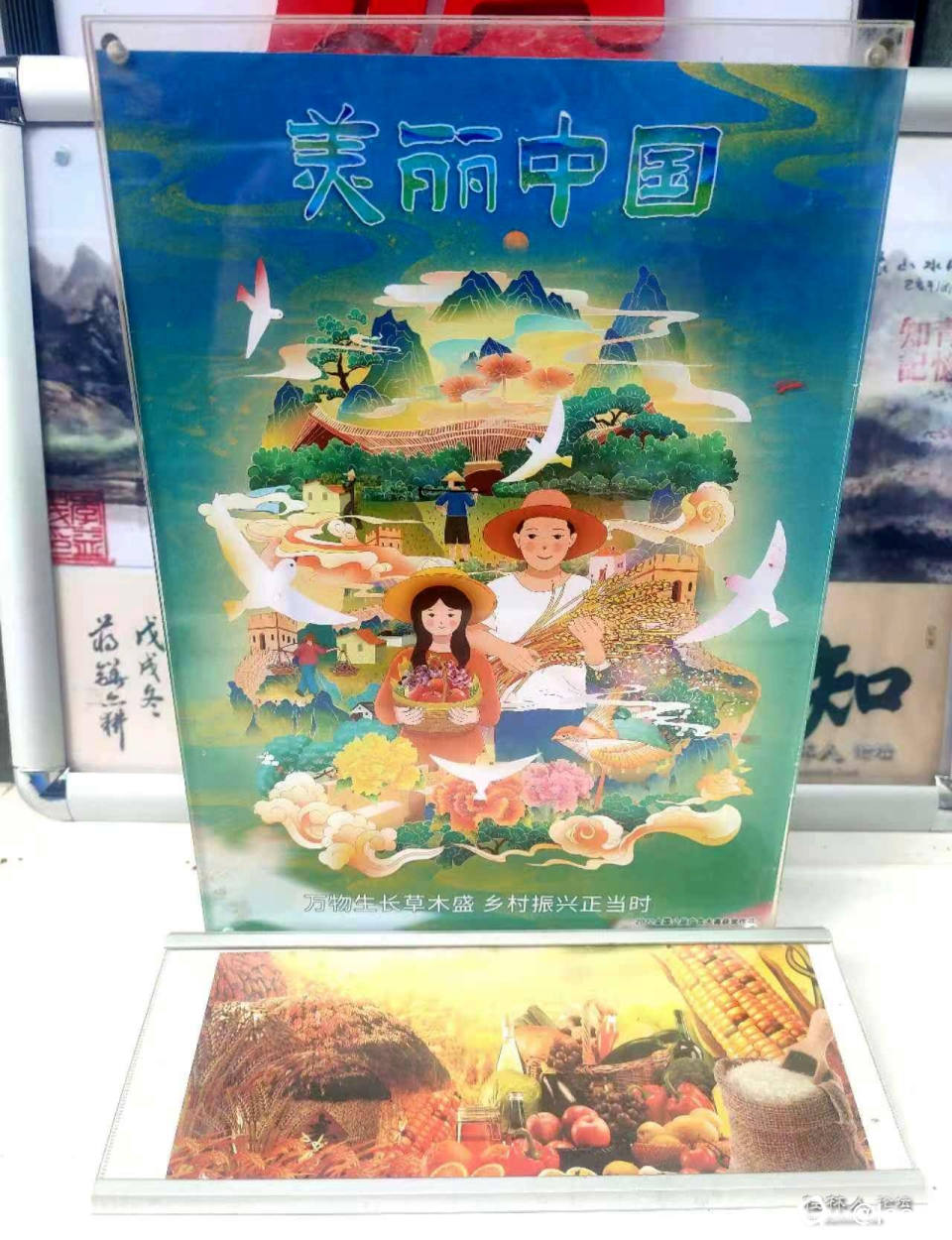 微信图片_20240731124836_副本.jpg