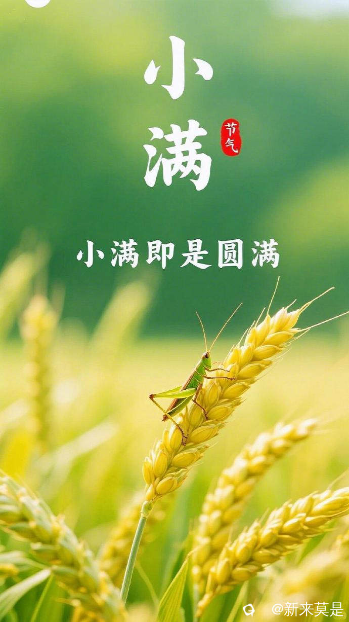 0068VNPfgy1i1me186mnhj30q01a8gou.jpg