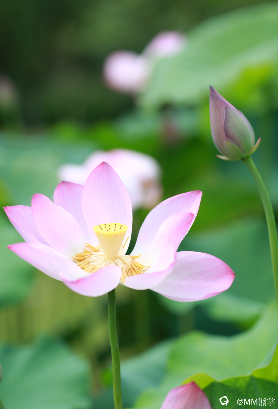 ff918482-ab7b-fb15-6311-c8163ae24a6d.jpg