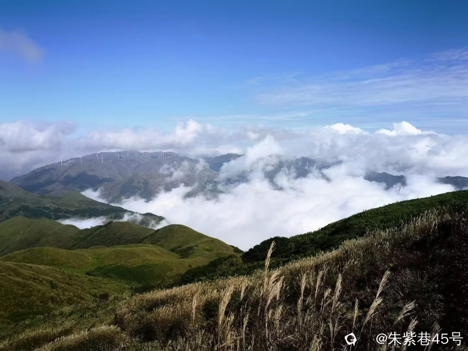 Image_1728258915449.jpg