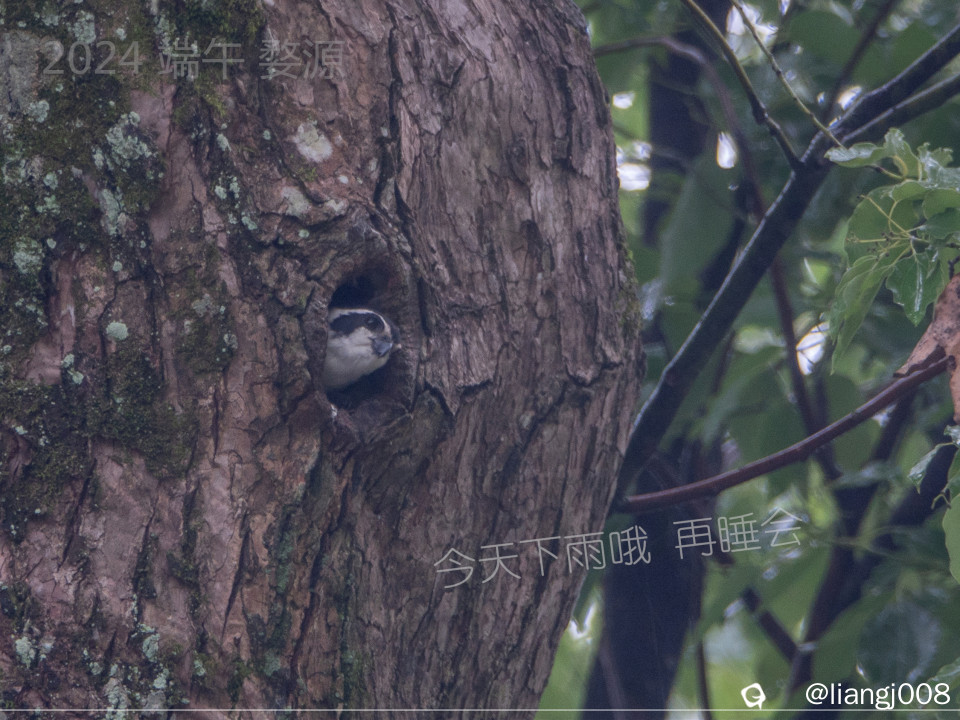 DSC09173_副本_副本.jpg