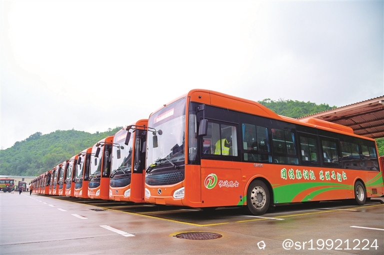 4617.jpg