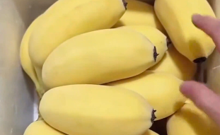 女生分享自己网购的广西米蕉，网友：从没吃过这么肥嘟嘟的香蕉