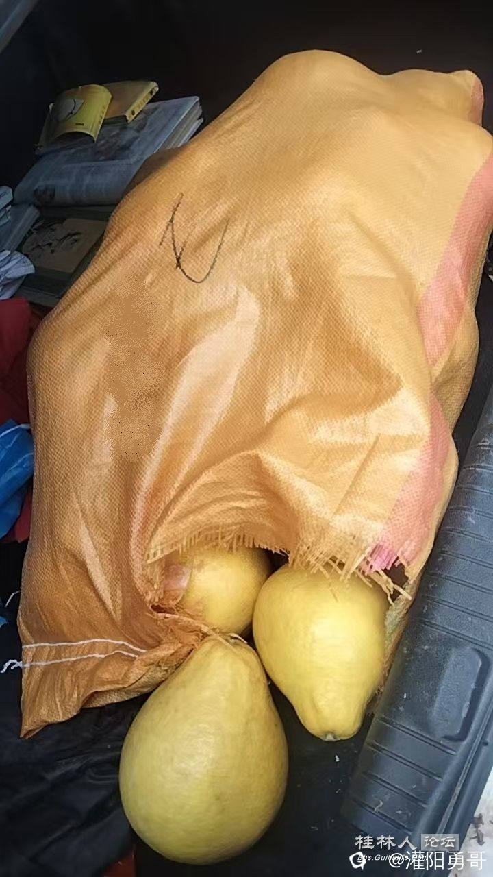 微信图片_20241220170123.jpg