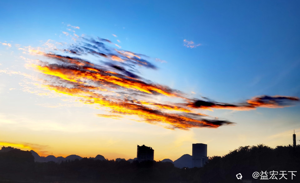 鱼跃水天
