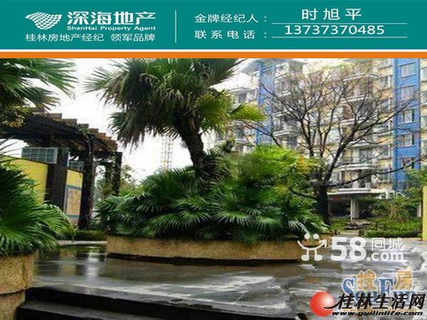 S ��˰���� ɽˮ����� 2��2��  90�O 56����ˮ��