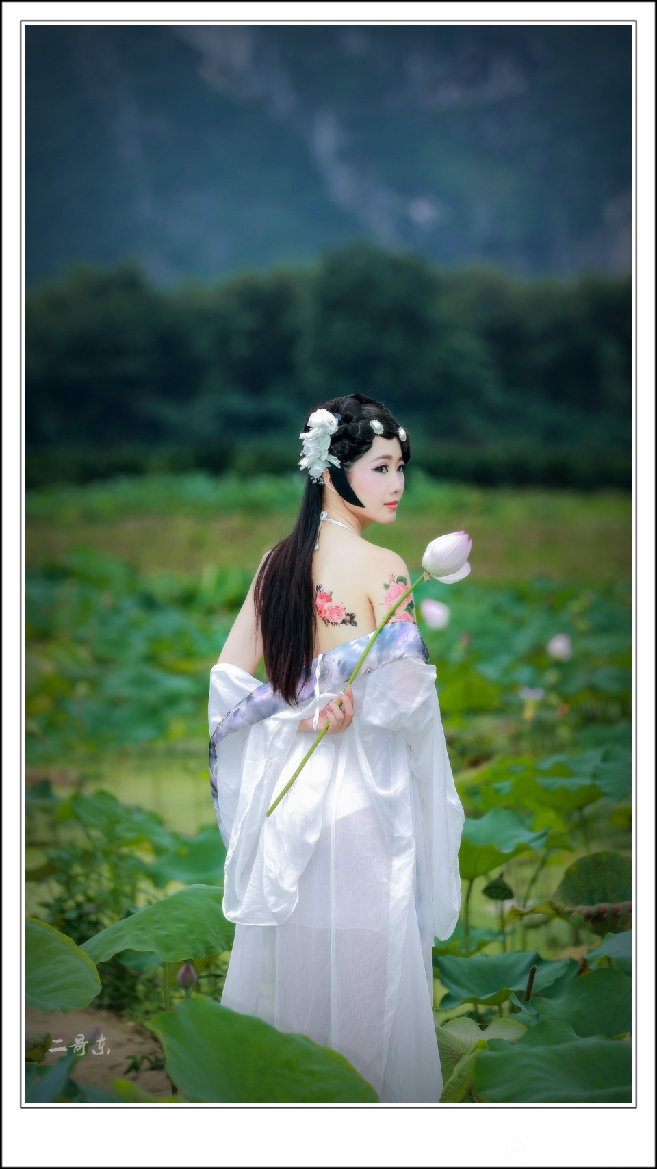 荷花仙子 (4).jpg