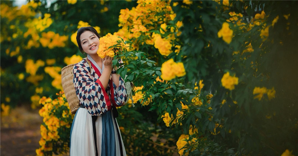 橙钟花拍个古风看看