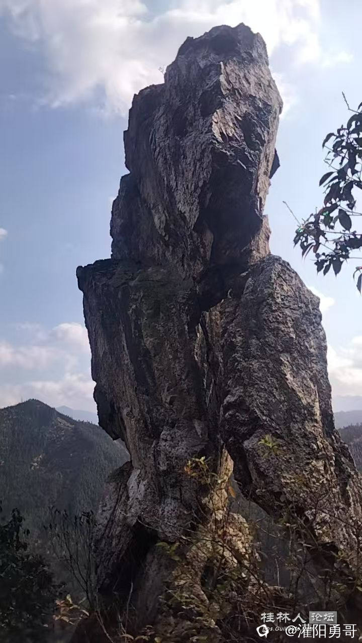 微信图片_20260224165608_477_377.jpg